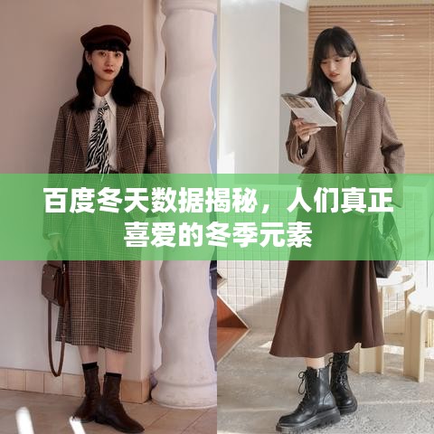 百度冬天數(shù)據(jù)揭秘，人們真正喜愛的冬季元素