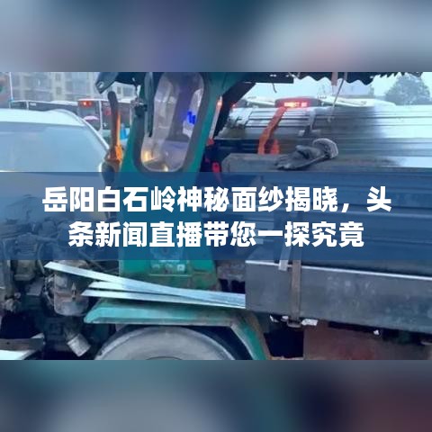 岳陽白石嶺神秘面紗揭曉，頭條新聞直播帶您一探究竟