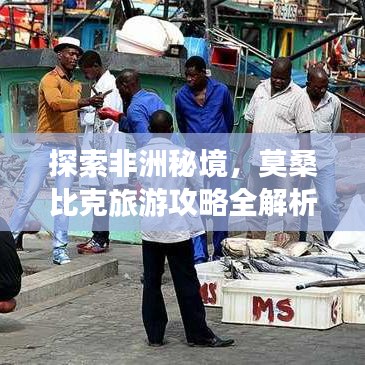 探索非洲秘境，莫桑比克旅游攻略全解析