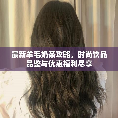 最新羊毛奶茶攻略，時尚飲品品鑒與優(yōu)惠福利盡享