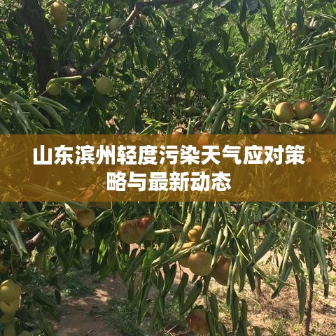 山東濱州輕度污染天氣應(yīng)對(duì)策略與最新動(dòng)態(tài)