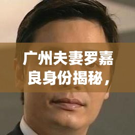 廣州夫妻羅嘉良身份揭秘，最新動(dòng)態(tài)與故事回顧
