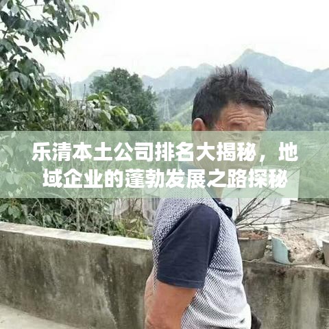 樂清本土公司排名大揭秘，地域企業(yè)的蓬勃發(fā)展之路探秘