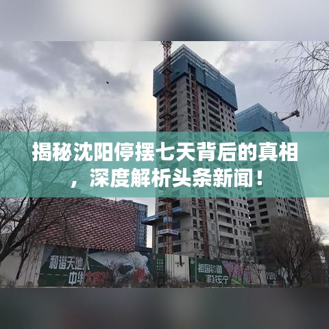 揭秘沈陽停擺七天背后的真相，深度解析頭條新聞！