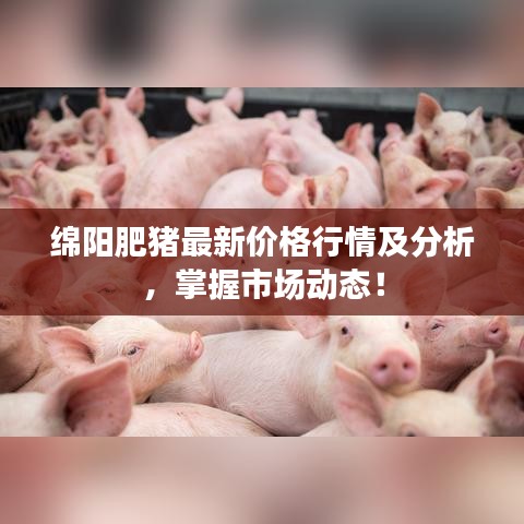 綿陽肥豬最新價格行情及分析，掌握市場動態(tài)！