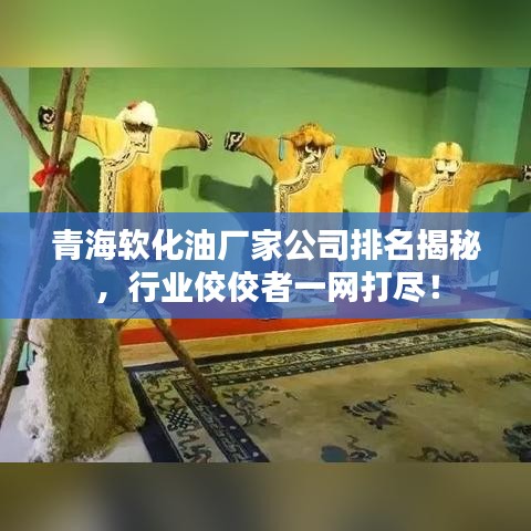青海軟化油廠家公司排名揭秘，行業(yè)佼佼者一網(wǎng)打盡！