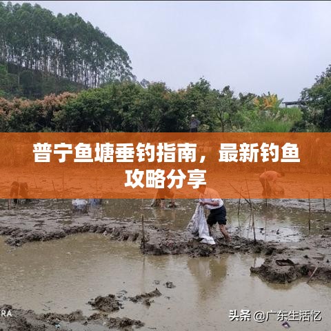 普寧魚塘垂釣指南，最新釣魚攻略分享