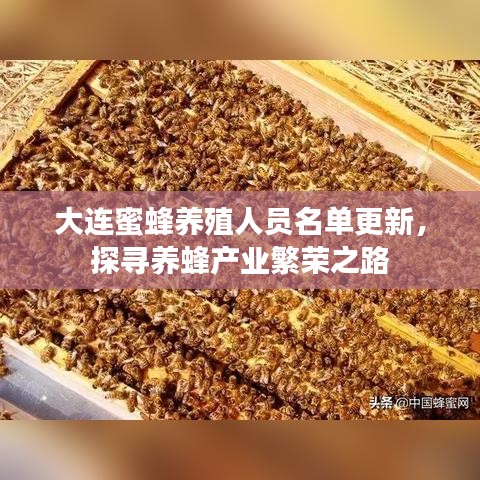 大連蜜蜂養(yǎng)殖人員名單更新，探尋養(yǎng)蜂產(chǎn)業(yè)繁榮之路