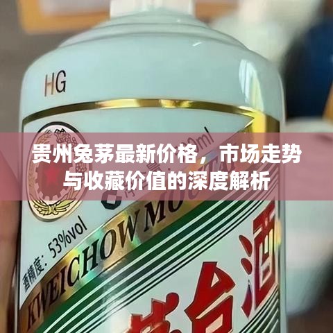 貴州兔茅最新價(jià)格，市場(chǎng)走勢(shì)與收藏價(jià)值的深度解析