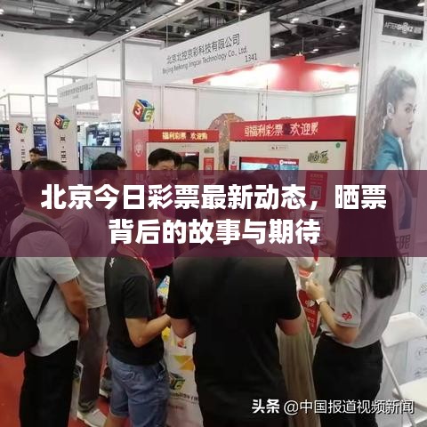 北京今日彩票最新動(dòng)態(tài)，曬票背后的故事與期待