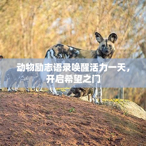 動物勵志語錄喚醒活力一天，開啟希望之門