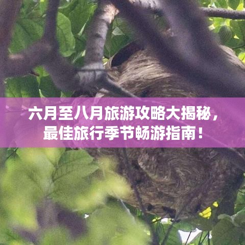 六月至八月旅游攻略大揭秘，最佳旅行季節(jié)暢游指南！