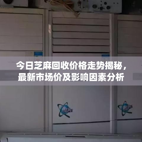 今日芝麻回收價格走勢揭秘，最新市場價及影響因素分析