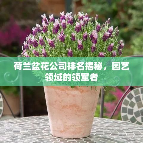 2025年6月6日 第34頁