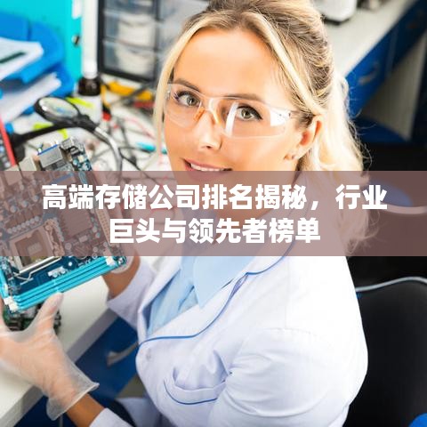 高端存儲公司排名揭秘，行業(yè)巨頭與領(lǐng)先者榜單