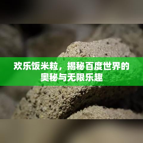 歡樂飯米粒，揭秘百度世界的奧秘與無限樂趣