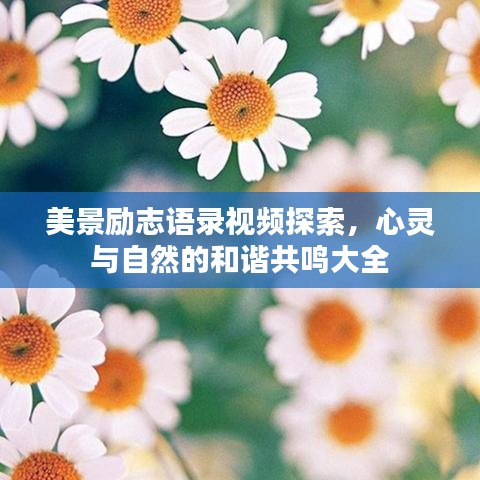 美景勵志語錄視頻探索，心靈與自然的和諧共鳴大全