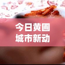 今日黃圃城市新動態(tài)與生活點(diǎn)滴速遞