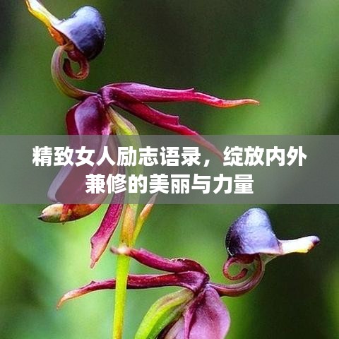 精致女人勵志語錄，綻放內(nèi)外兼修的美麗與力量