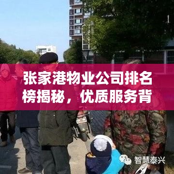 張家港物業(yè)公司排名榜揭秘，優(yōu)質(zhì)服務(wù)背后的力量與秘密！