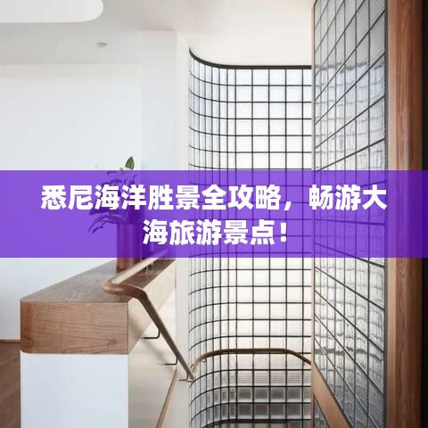 悉尼海洋勝景全攻略，暢游大海旅游景點！