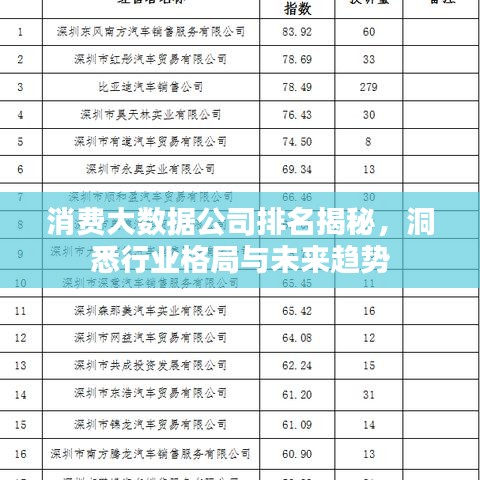 消費(fèi)大數(shù)據(jù)公司排名揭秘，洞悉行業(yè)格局與未來趨勢(shì)