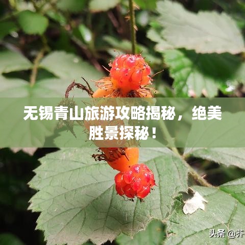 無錫青山旅游攻略揭秘，絕美勝景探秘！