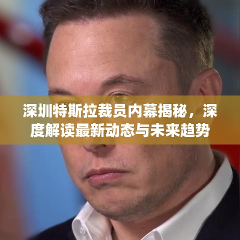 深圳特斯拉裁員內(nèi)幕揭秘，深度解讀最新動態(tài)與未來趨勢
