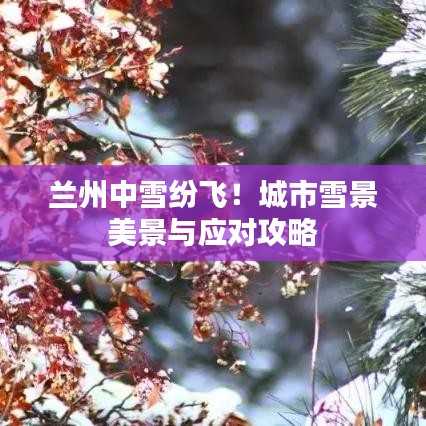 蘭州中雪紛飛！城市雪景美景與應(yīng)對(duì)攻略