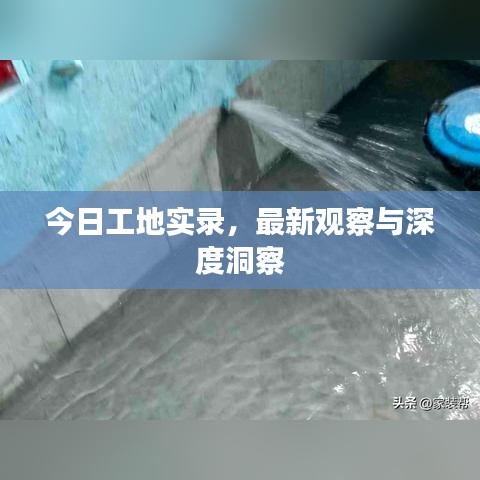 今日工地實(shí)錄，最新觀察與深度洞察