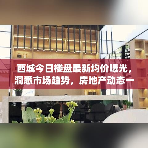 西城今日樓盤最新均價曝光，洞悉市場趨勢，房地產(chǎn)動態(tài)一覽無余