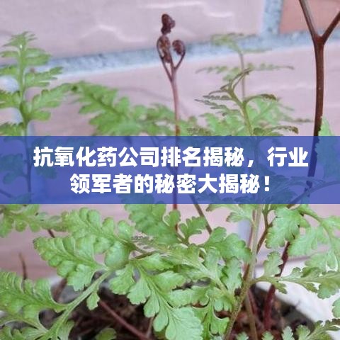 抗氧化藥公司排名揭秘，行業(yè)領(lǐng)軍者的秘密大揭秘！