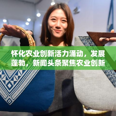 懷化農(nóng)業(yè)創(chuàng)新活力涌動(dòng)，發(fā)展蓬勃，新聞?lì)^條聚焦農(nóng)業(yè)創(chuàng)新步伐