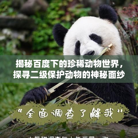 揭秘百度下的珍稀動(dòng)物世界，探尋二級(jí)保護(hù)動(dòng)物的神秘面紗