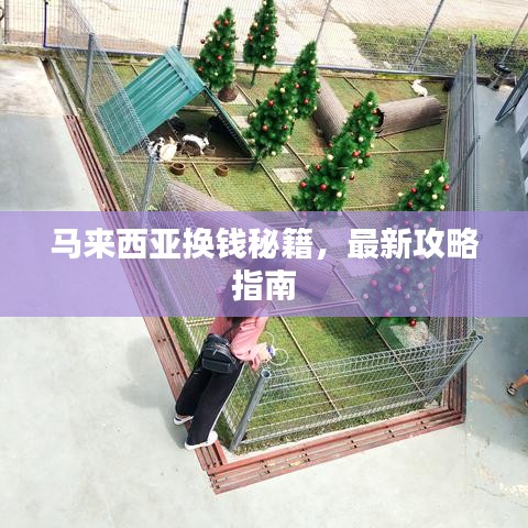 馬來西亞換錢秘籍，最新攻略指南