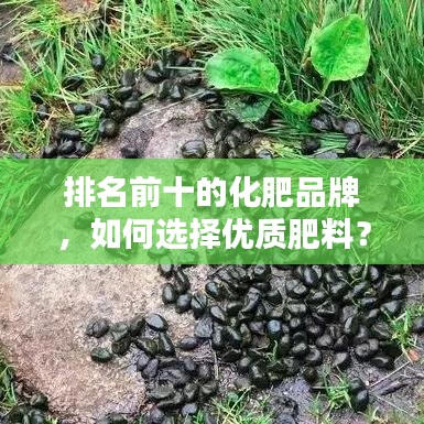排名前十的化肥品牌，如何選擇優(yōu)質(zhì)肥料？選購指南全解析！