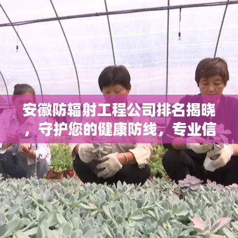 安徽防輻射工程公司排名揭曉，守護(hù)您的健康防線，專業(yè)信賴之選！
