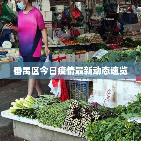 番禺區(qū)今日疫情最新動態(tài)速覽