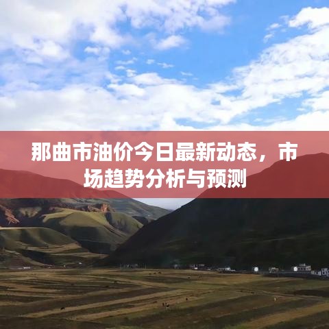 那曲市油價(jià)今日最新動(dòng)態(tài)，市場趨勢分析與預(yù)測