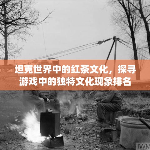 坦克世界中的紅茶文化，探尋游戲中的獨特文化現(xiàn)象排名
