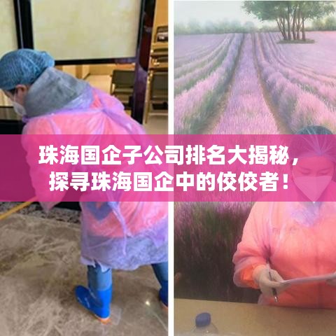 珠海國(guó)企子公司排名大揭秘，探尋珠海國(guó)企中的佼佼者！