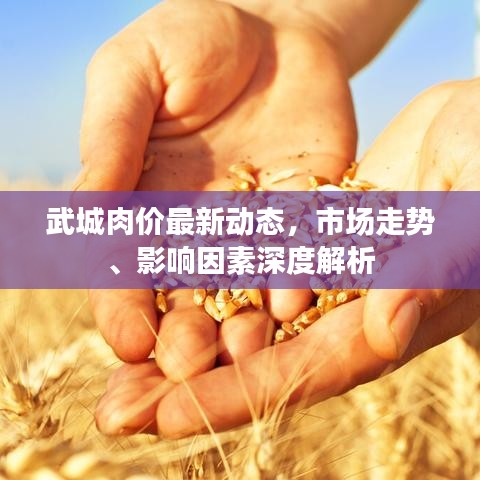 武城肉價(jià)最新動(dòng)態(tài)，市場(chǎng)走勢(shì)、影響因素深度解析