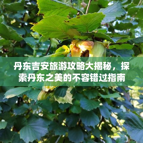 丹東吉安旅游攻略大揭秘，探索丹東之美的不容錯(cuò)過(guò)指南