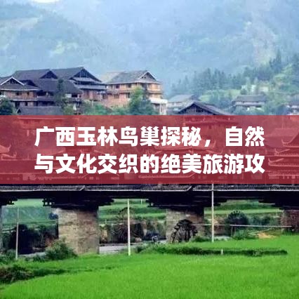廣西玉林鳥巢探秘，自然與文化交織的絕美旅游攻略圖