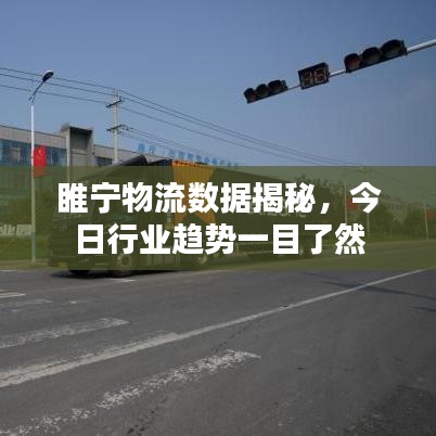 睢寧物流數(shù)據(jù)揭秘，今日行業(yè)趨勢一目了然