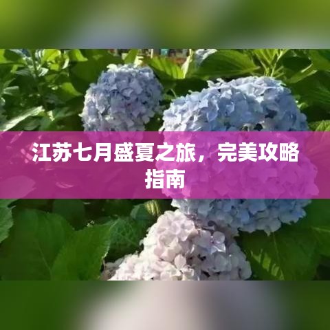 江蘇七月盛夏之旅，完美攻略指南