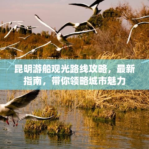 昆明游船觀光路線攻略，最新指南，帶你領(lǐng)略城市魅力