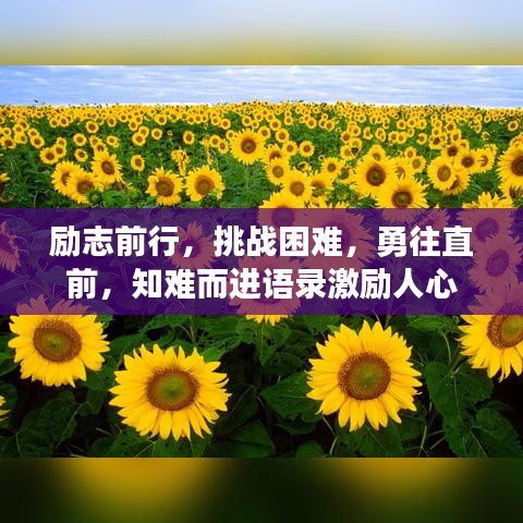 勵(lì)志前行，挑戰(zhàn)困難，勇往直前，知難而進(jìn)語錄激勵(lì)人心