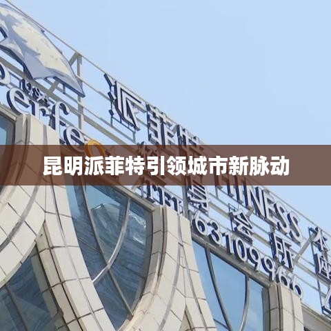 昆明派菲特引領(lǐng)城市新脈動