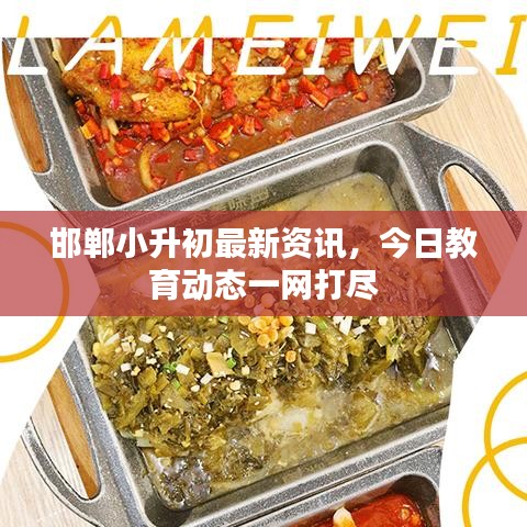 邯鄲小升初最新資訊，今日教育動(dòng)態(tài)一網(wǎng)打盡